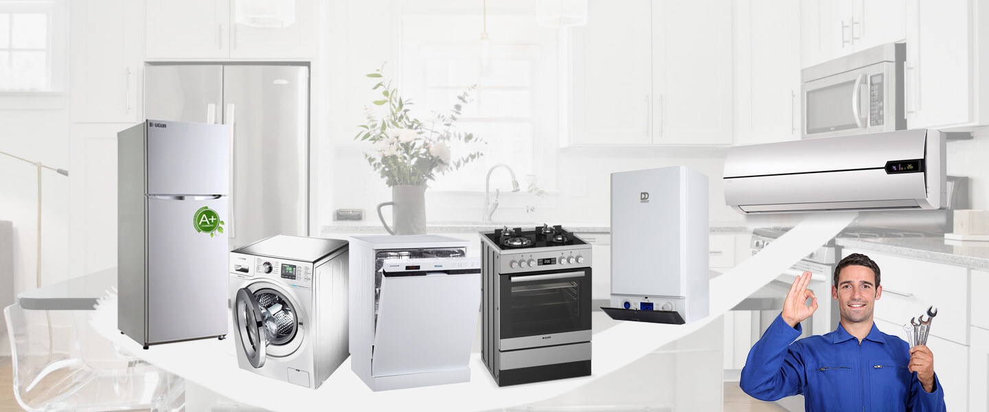Başakşehir Grundig Servisi